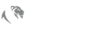 Drive Luxury Logo
